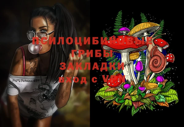 мяу мяу мука Алзамай