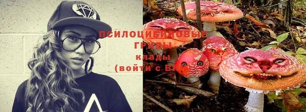 мяу мяу мука Алзамай