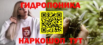 круглые Гусев