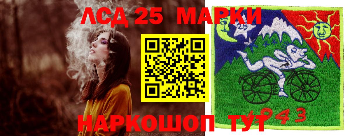 Новозыбков  Лсд 25 экстази ecstasy  Лсд 25 экстази кислота  Вход с VPN 