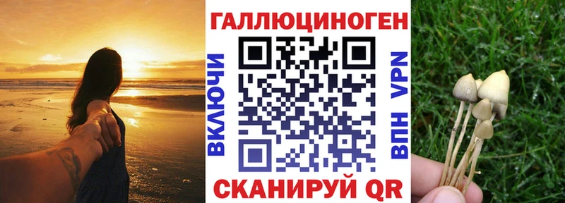 hydra ONION  Новозыбков  Галлюциногенные грибы мицелий  купить закладку 