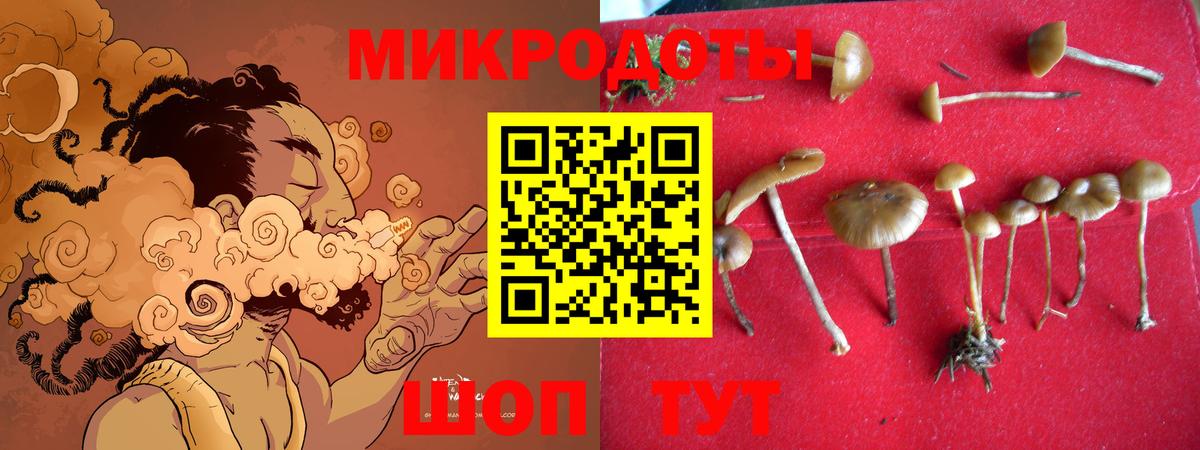 Галлюциногенные грибы ЛСД Новозыбков
