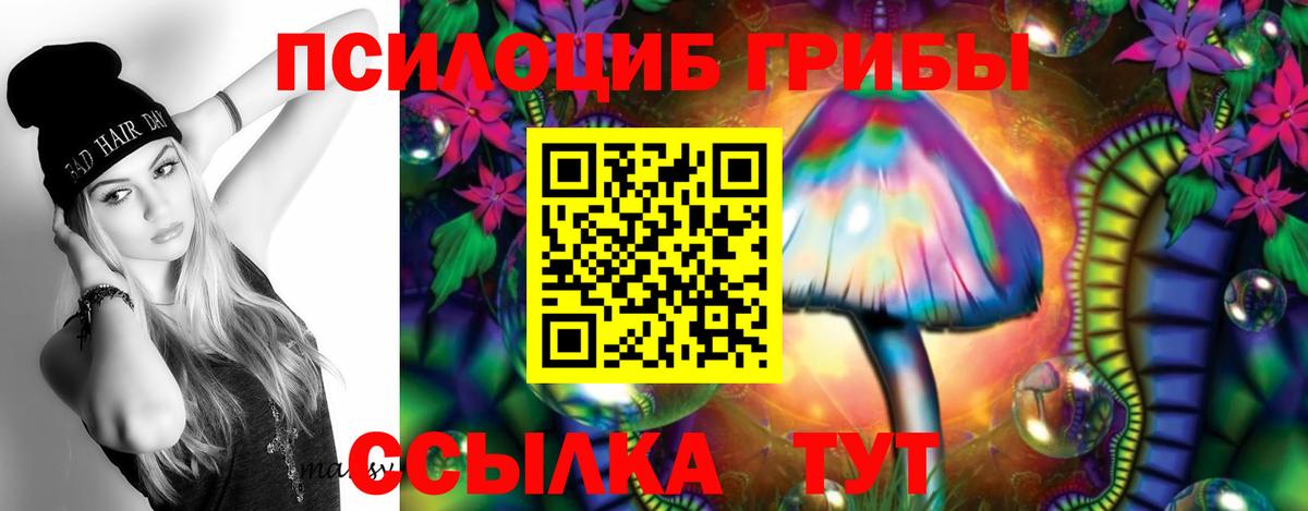 Псилоцибиновые грибы ЛСД  Вход с VPN  Новозыбков 
